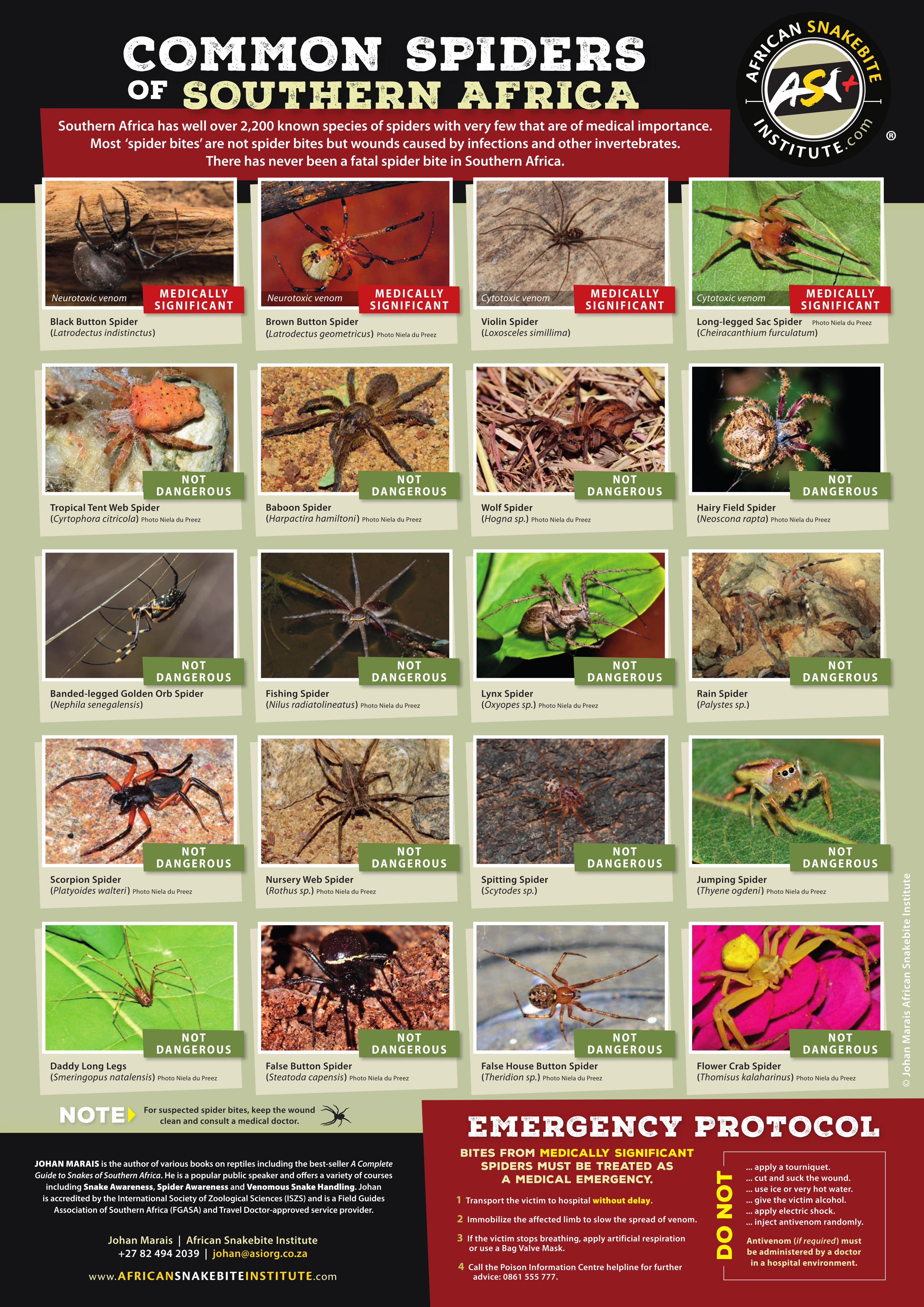 20180215_ASI_Spiders-A3-Poster_SOUTHERN-AFRICA_ENG_WEB